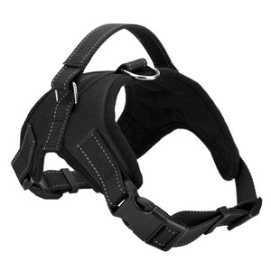 NEW All-In-One No Pull Dog Harness